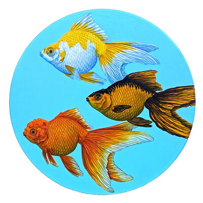 Trinity I (Fancy Goldfish)