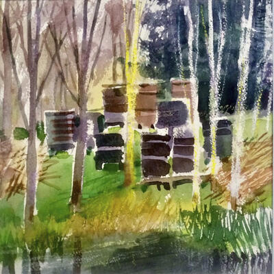 Beehives In The Nature Reserve