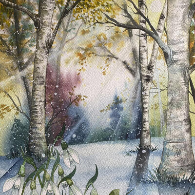 Woodland Snowdrops