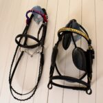 Charlotte Cheesman - Show pony bridle and Harness bridle
