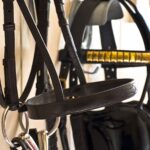 Charlotte Cheesman - Show pony noseband