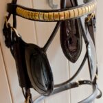 Charlotte Cheesman - Harness Bridle