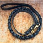 Charlotte Cheesman - Plain dog collar with braided lead