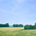 Hannah Buchanan - June Morning Haze, 2022, Oil on canvas, 70 x 100cm