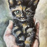 Jeanette Aldridge - Tiny kitten