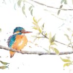 Rachel Spreckley Art - Watercolour 'King'