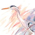 Rachel Spreckley Art - Watercolour 'Waiting in the reeds'