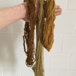 Anoushka Cole - Onion dyes