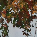 Cascading to crimson