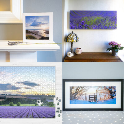 [frm-field-value field_id=328 entry=