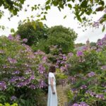 Tess skirt, Eliza blouse. Ph. R. O’Brien