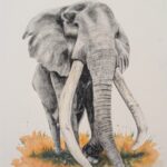 Craig the Elephant Watercolour 30 x 40 cm