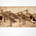 Curlews and Pied Oyster Catchers, Aquatint Etching