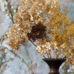 'Dried Flowers in Vase' Fine Art Photograph