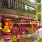 'West End Window' Fine Art Photograph