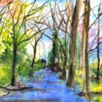 Bluebells in Oxleas Wood