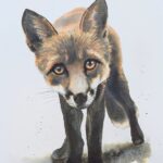 Hello there Mr Fox Ink and watercolour 28 x 36 cm