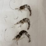 Prawn prints