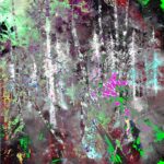 ‘Shine on Silver Birch’ is an intricate piece of digital art that Carole developed from an original watercolour painting called ‘Lady of the Wood’. It is a piece of digital art that is produced as a high quality limited edition print-framed and ready to hang, size 68cm x 68cm.