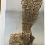 Apple papyrus scroll