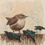 Little Wren, watercolour 6 x 6'