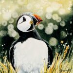 Puffin Love, watercolour 6 x 6'