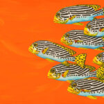 'Sweetlips - Orange' - acrylic painting on box canvas. 27" x 39" with black floater framer