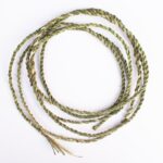 Pendulous sedge cordage