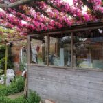 The studio in springtime