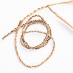 Yellow flag iris cordage