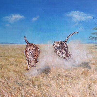 CHEETAHS ON THE RUN