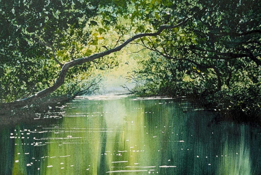 A watercolour painting of a river and the reflections of the trees and foliage around them, letting the light shine through, captured by the moment.