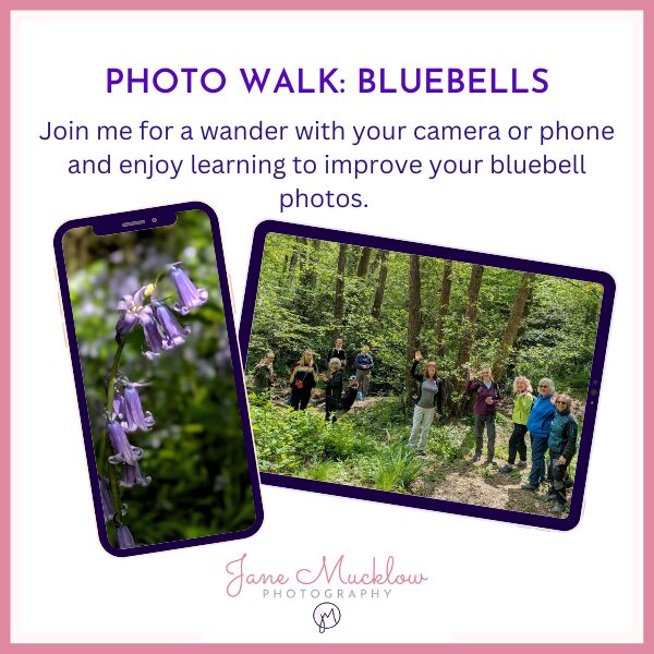 Bluebell Photography Walk